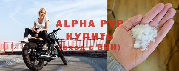 спиды Магас