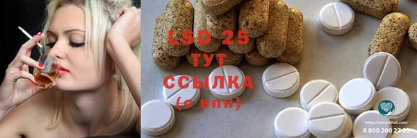 спиды Магас