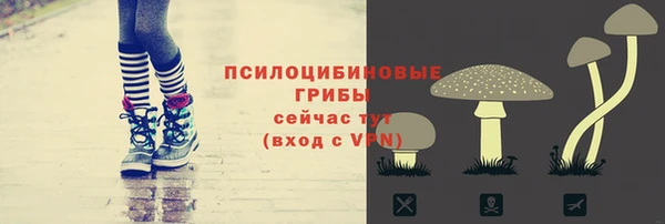 трава Магадан