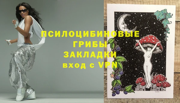 спиды Магас