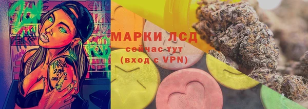 спиды Магас