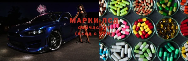 трава Магадан