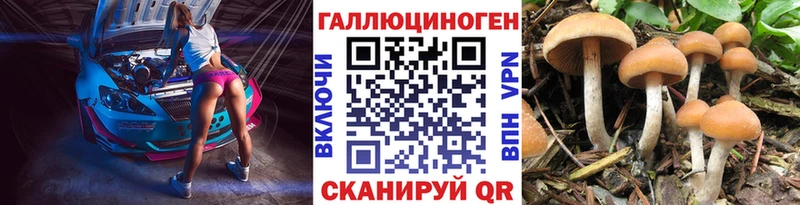 Псилоцибиновые грибы Psilocybine cubensis  наркотики  Оренбург 