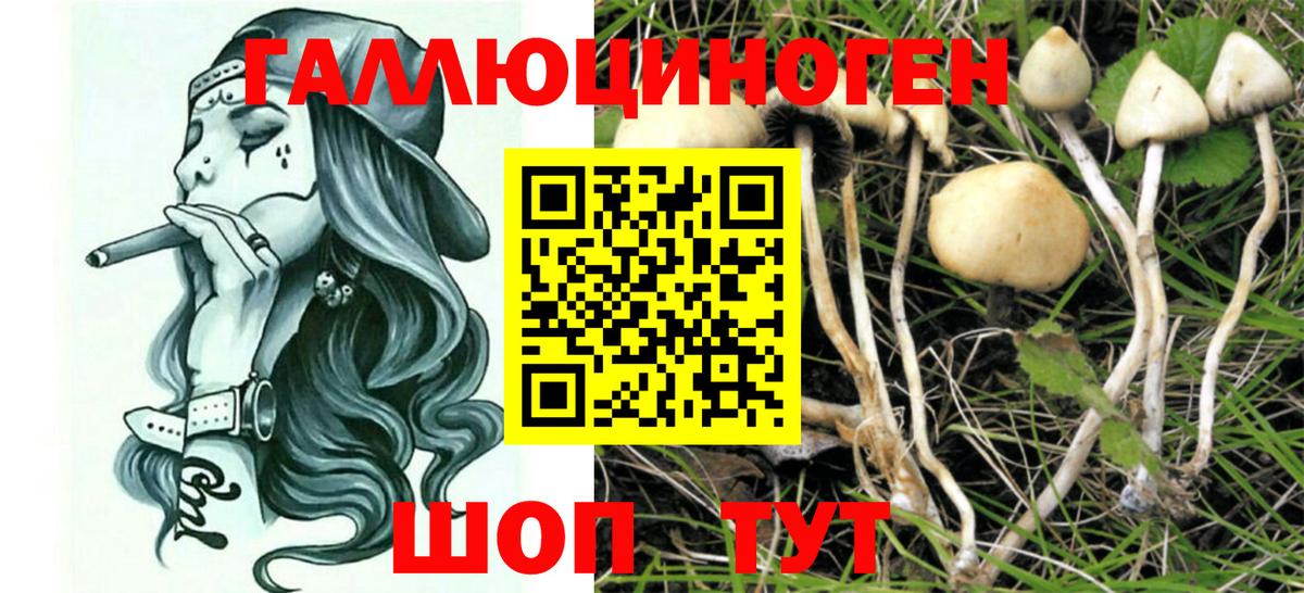 Галлюциногенные грибы Psilocybe  Вход с VPN  Оренбург 