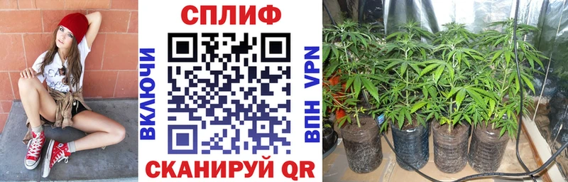 Шишки марихуана план  Оренбург 